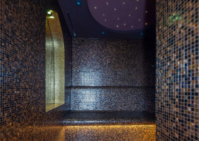 Complete wellness oasis with sauna, steam bath, and anteroom