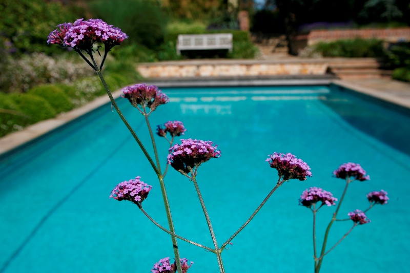 Out6 Aerial view of an outdoor swimming pool with plunge pool and surrounding green lawn.