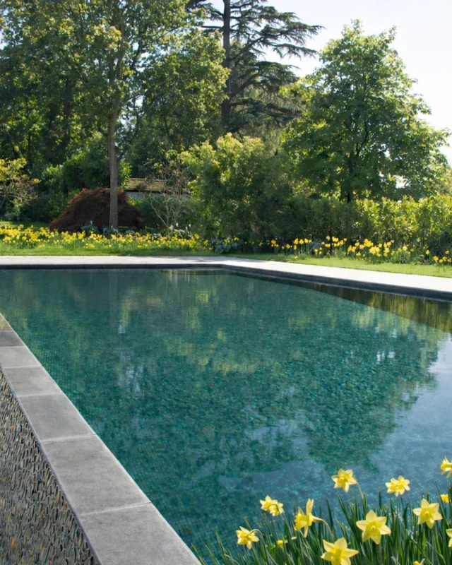 Easter Hours at Guncast 💐 

We’ll be taking a short Easter break:

Closed: Good Friday (3 April)
Closed: Easter Monday (6 April)

If you need urgent pool or KLAFS support, our Service Team is here to help:

 📧 service@guncast.com
 📞 01844 216264
 All messages will be picked up from Tuesday 7 April.

#happyeaster